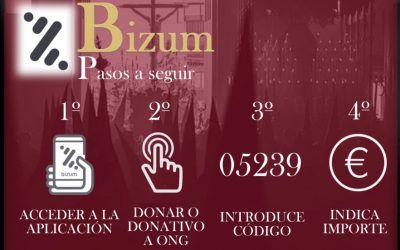Ya tenemos BIZUM